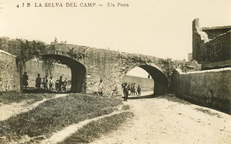Els Ponts, La Selva del Camp